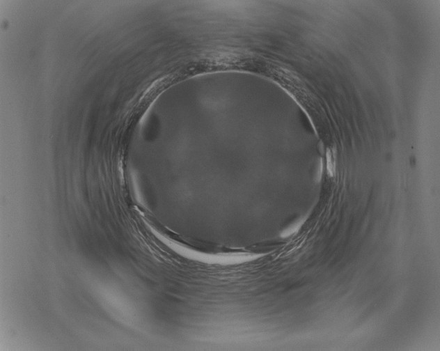 X0000071851155200607141743