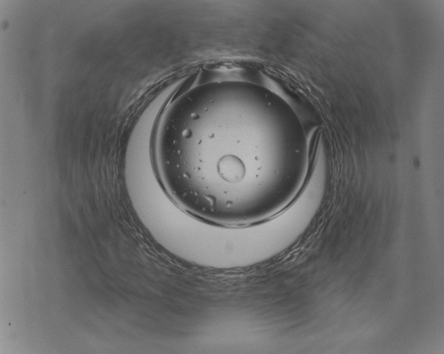 X0000071851157200607141743