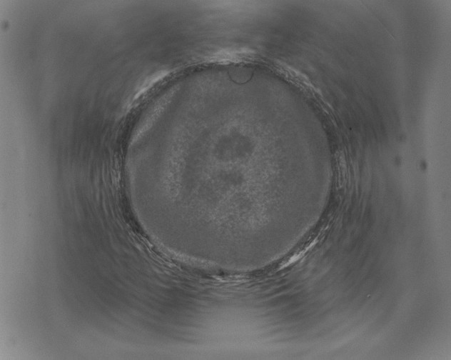 X0000071851158200607141743