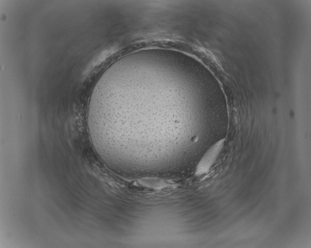 X0000071851159200607141743