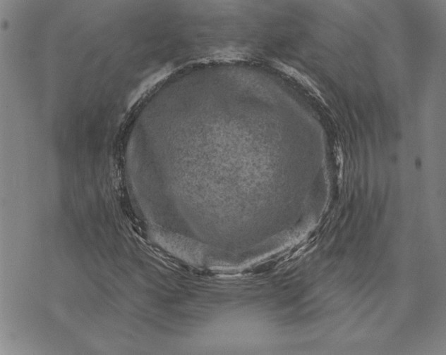 X0000071851160200607141743