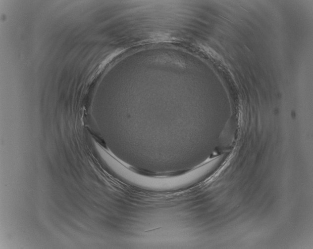 X0000071851161200607141743