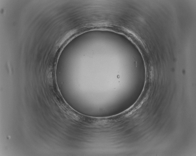 X0000071851162200607141743