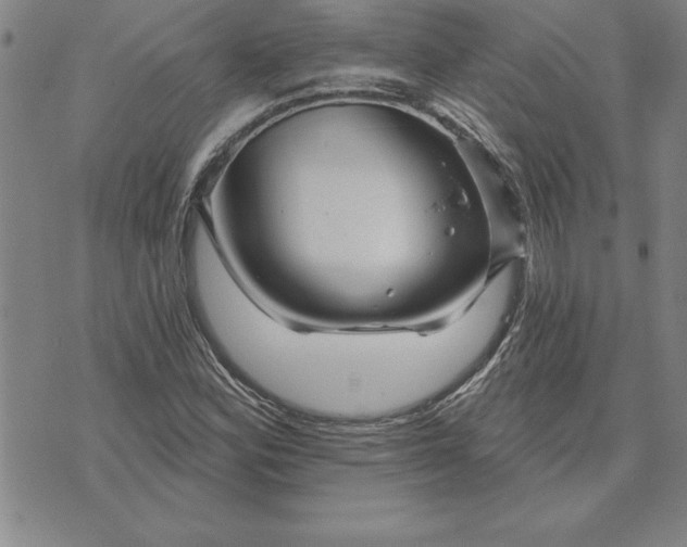 X0000071851164200607141743