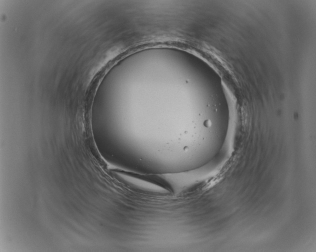 X0000071851165200607141743