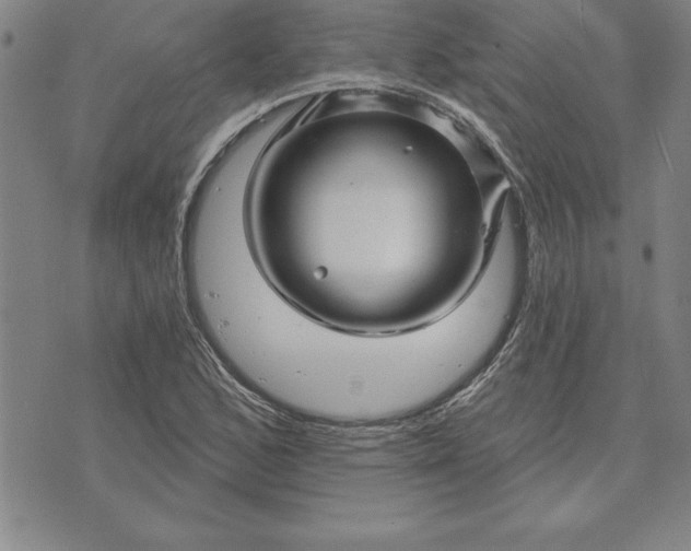 X0000071851168200607141743