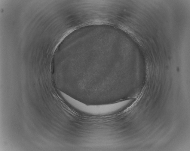 X0000071851170200607141743