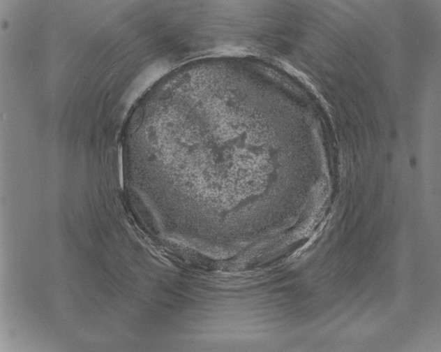 X0000071851171200607141743