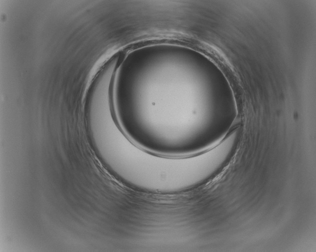 X0000071851172200607141743