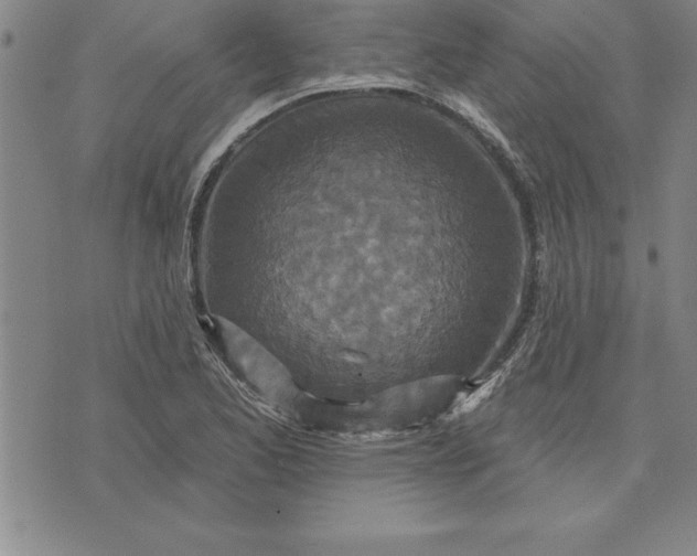 X0000071851173200607141743