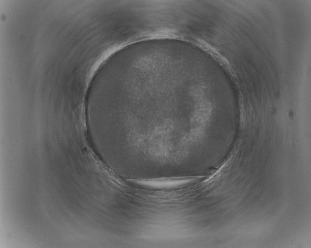 X0000071851174200607141743