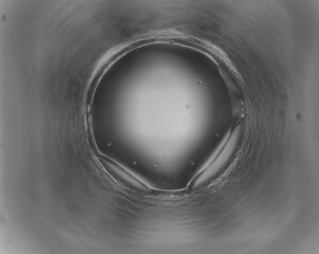 X0000071851176200607141743