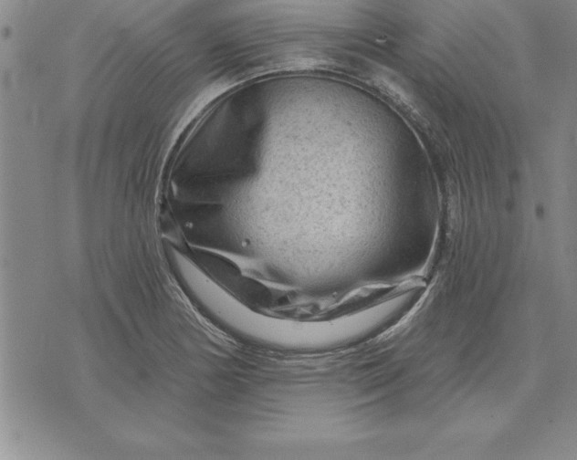 X0000071851178200607141743