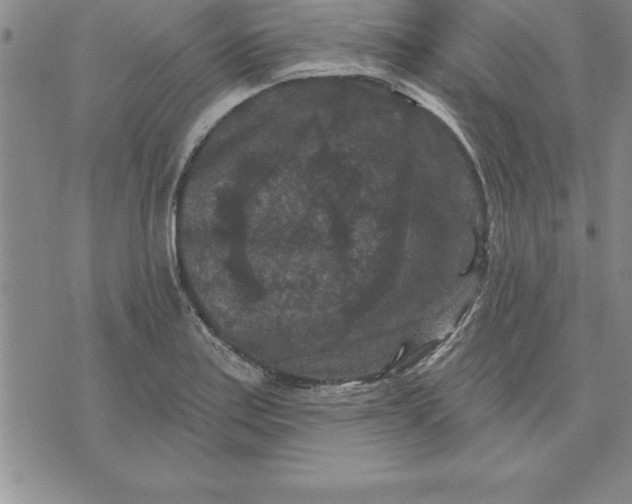 X0000071851179200607141743