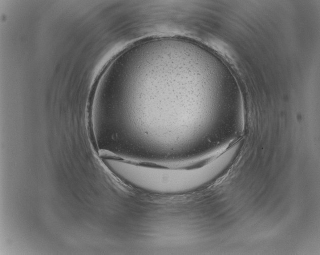 X0000071851183200607141742