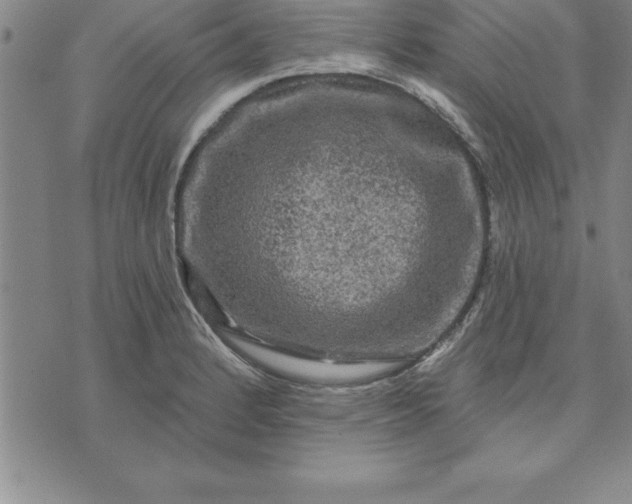 X0000071851184200607141742