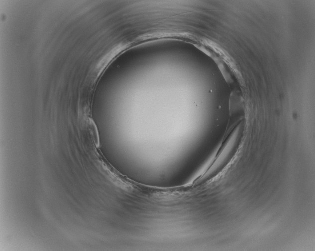 X0000071851185200607141742