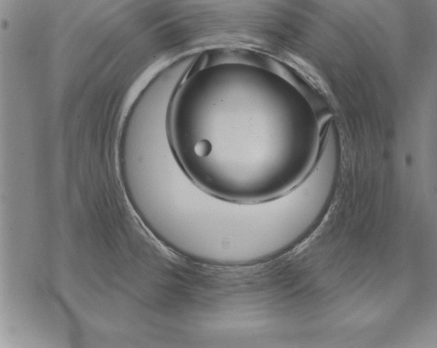 X0000071851188200607141742