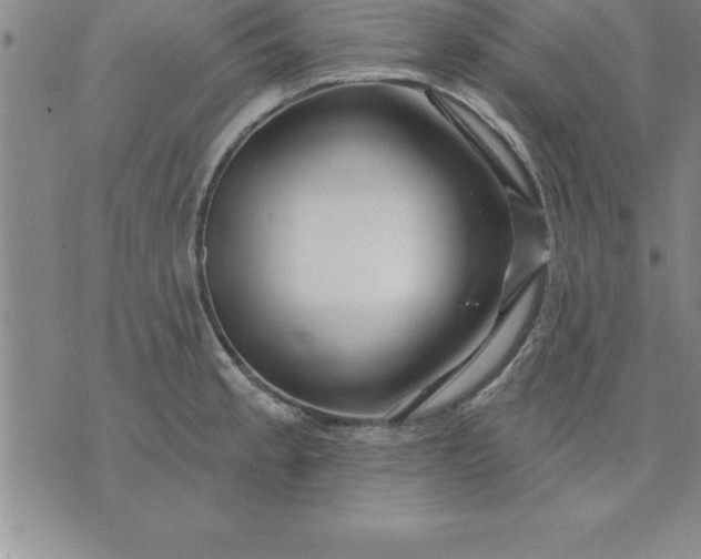 X0000071851189200607141742