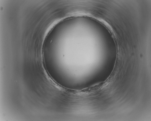 X0000071851191200607141742