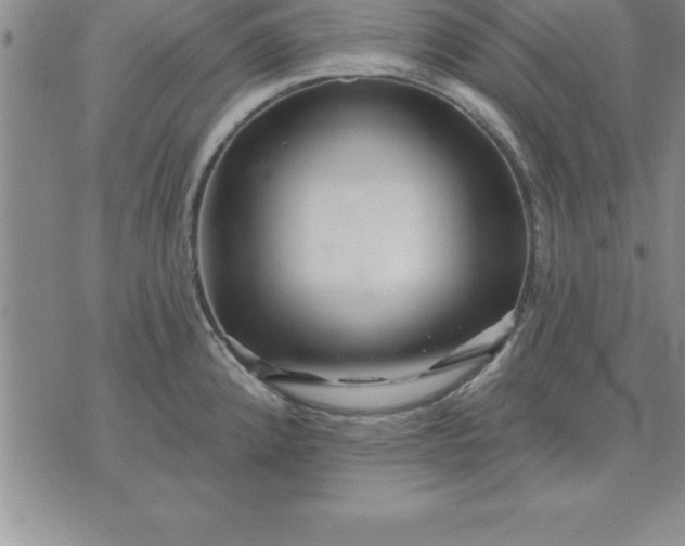 X0000071851192200607141742