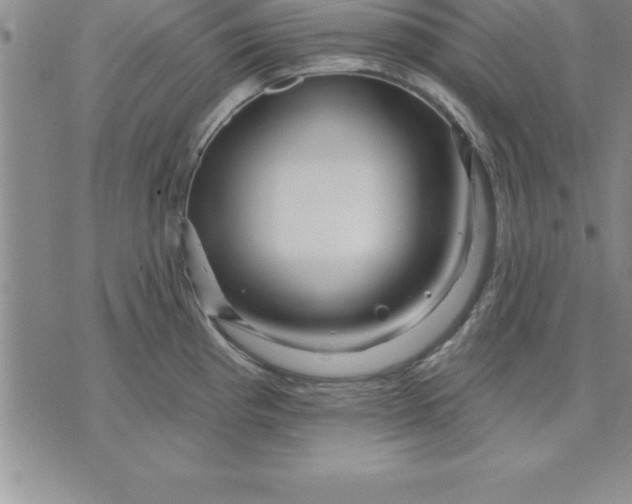 X0000071851193200607141742