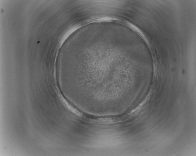 X0000071851194200607141742