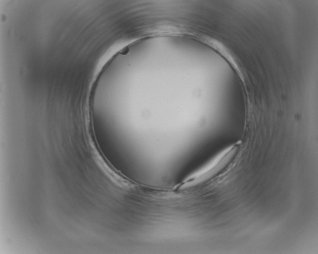 X0000071851195200607141742