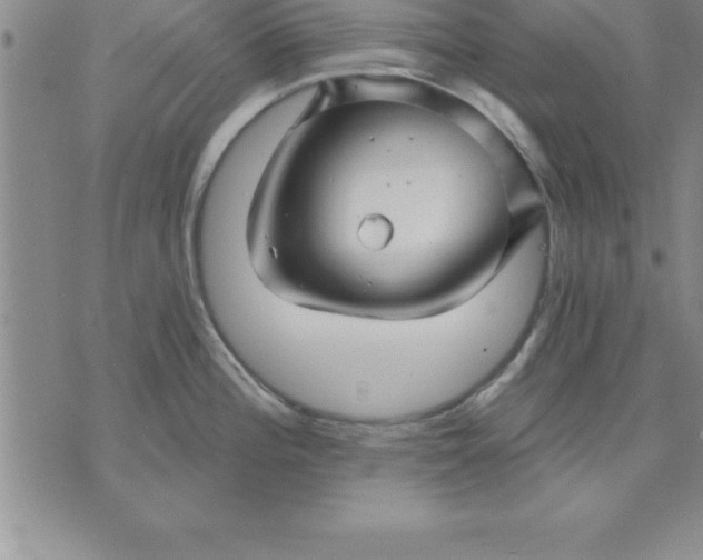 X0000071851196200607141742