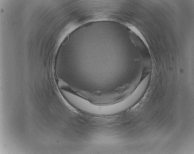 X0000071851197200607141742