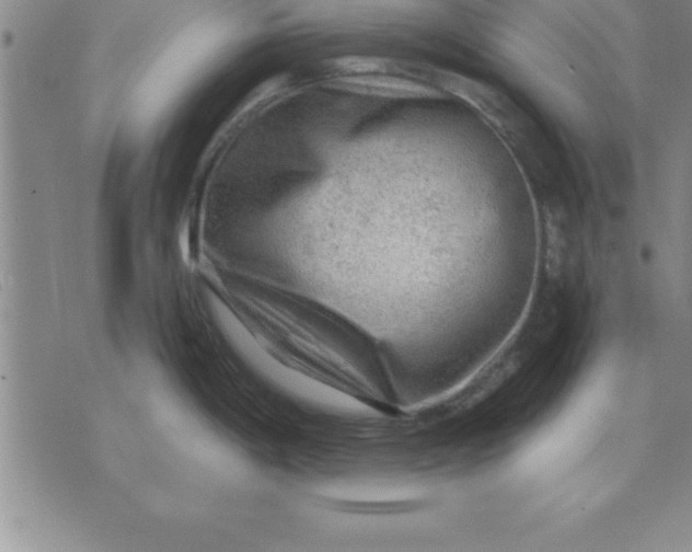 X0000071851198200607141742