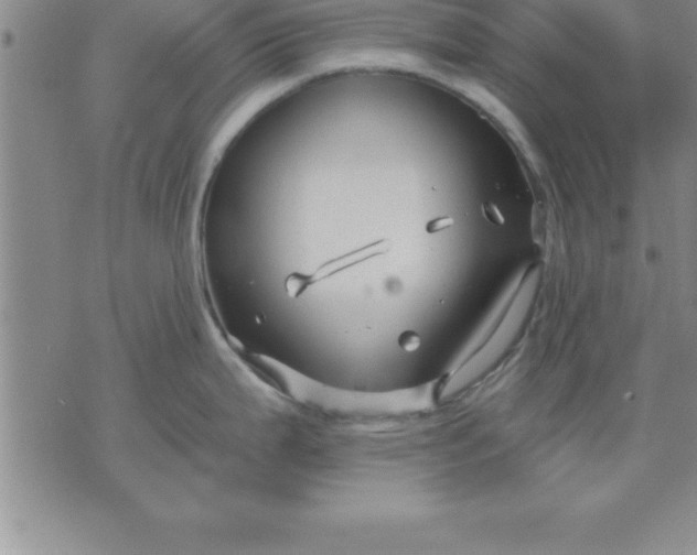 X0000071851199200607141742