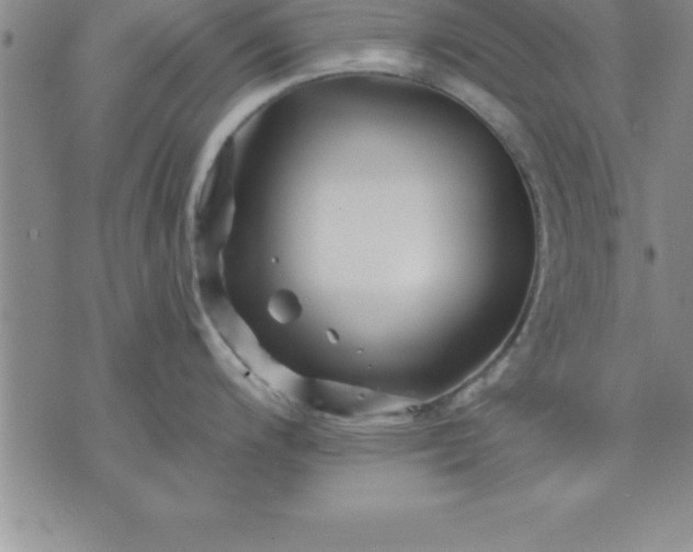 X0000071851200200607141742