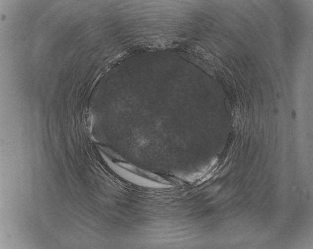 X0000071851202200607141741