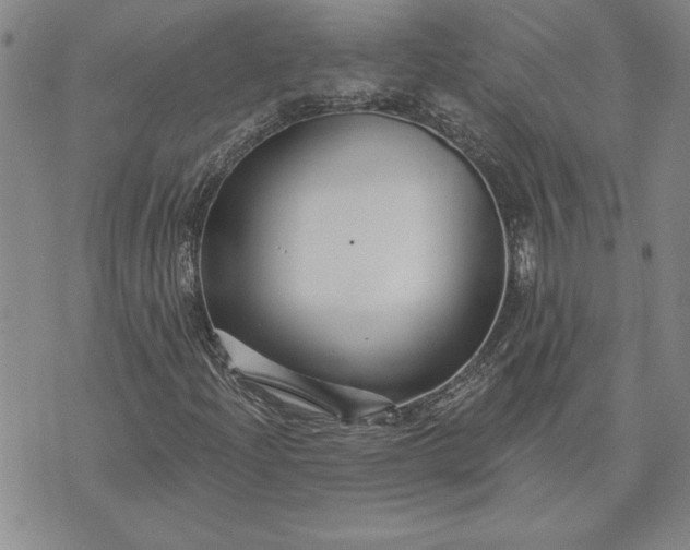 X0000071851204200607141741