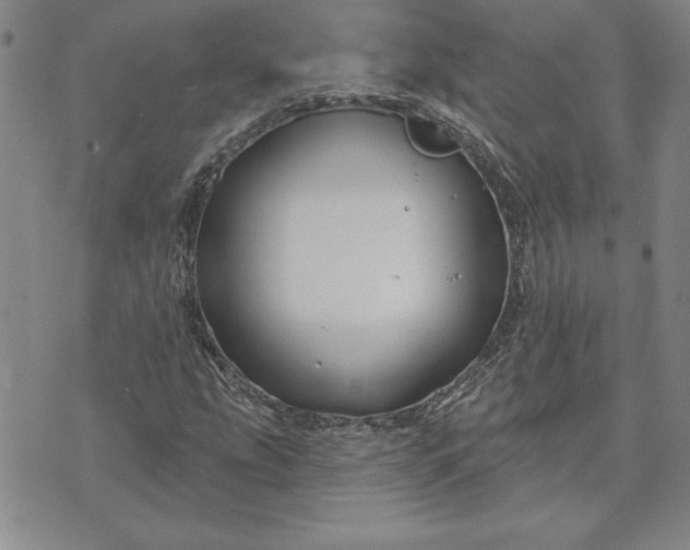 X0000071851207200607141742