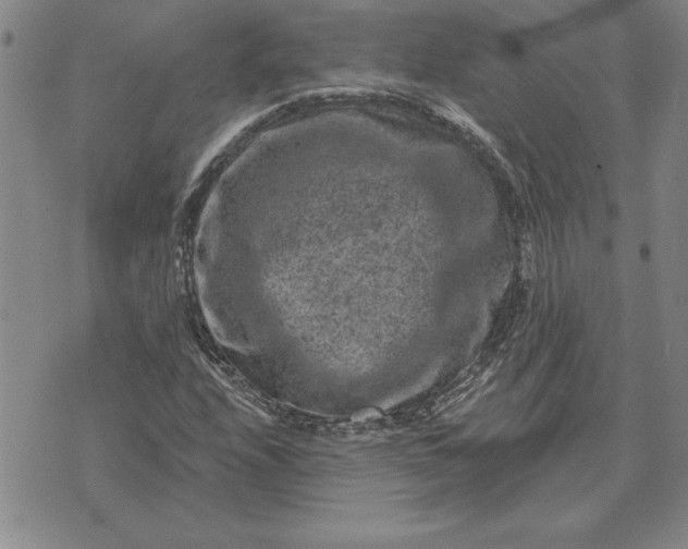 X0000071851208200607141742