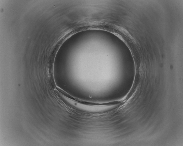 X0000071851209200607141742