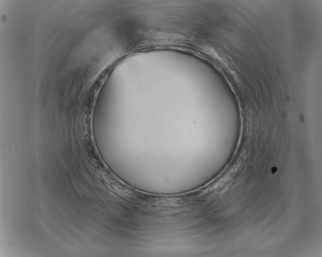 X0000071851211200607141742