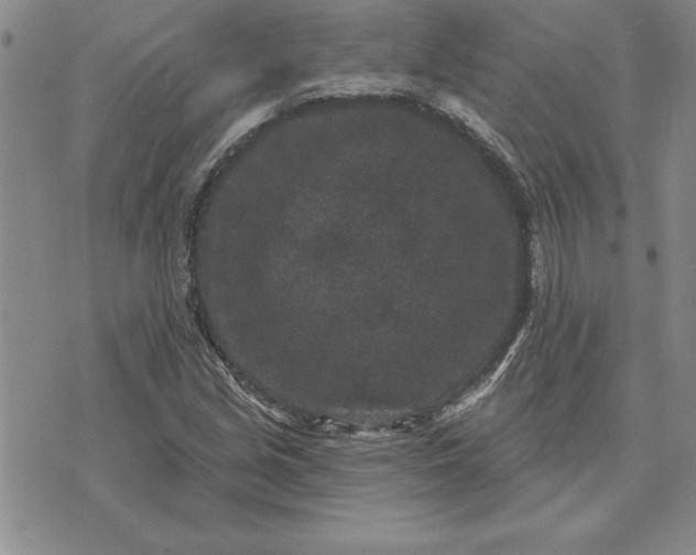 X0000071851213200607141742