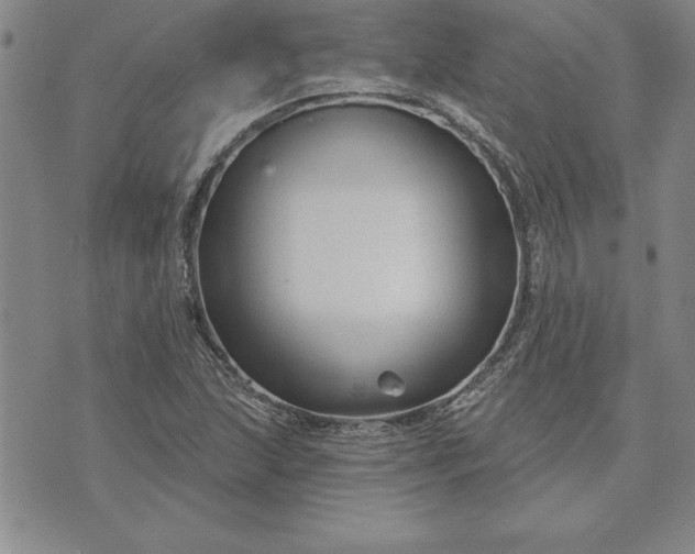 X0000071851215200607141742