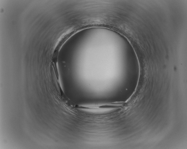 X0000071851218200607141742