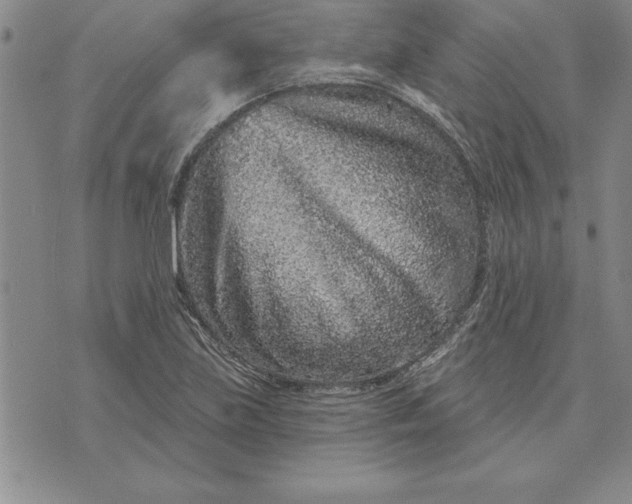 X0000071851219200607141742