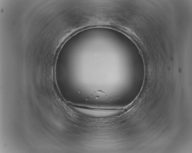 X0000071851220200607141742