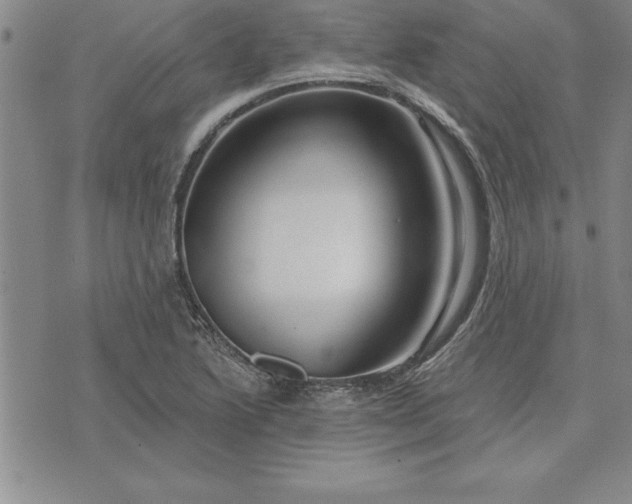 X0000071851222200607141742