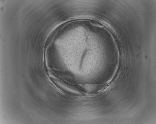 X0000071851228200607141742