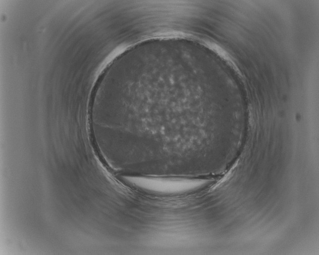 X0000071851229200607141742