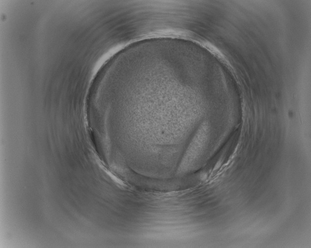 X0000071851230200607141742