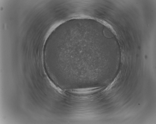 X0000071851231200607141742