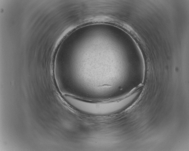 X0000071851232200607141742